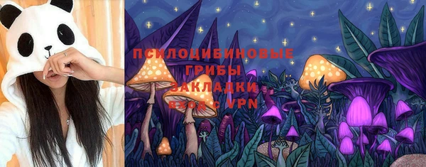 амф Абаза