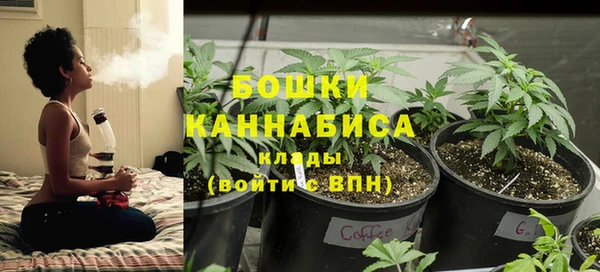 ГАЛЛЮЦИНОГЕННЫЕ ГРИБЫ Абинск