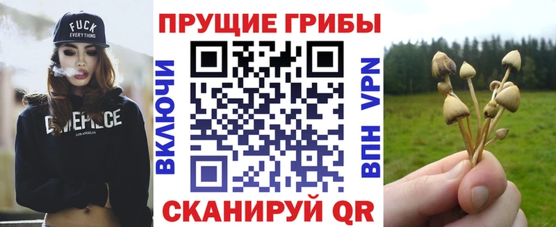 Галлюциногенные грибы ЛСД blacksprut как зайти Шимановск